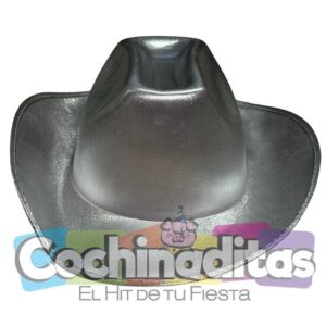 Texano metálico plata